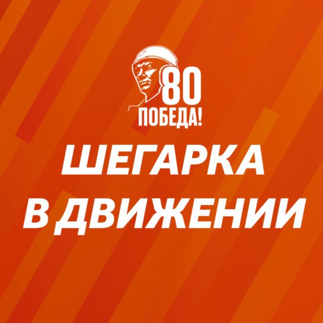 Шегарка в движении