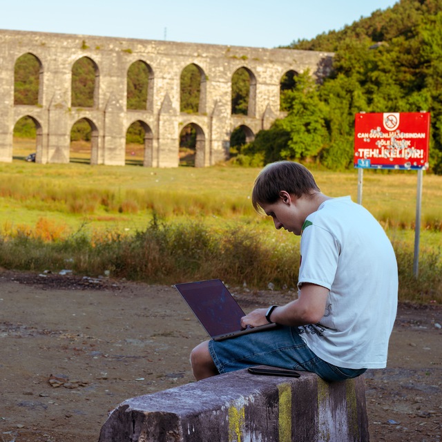 жук в сети и не только