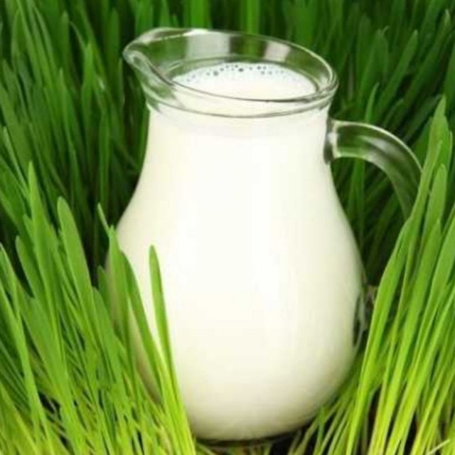 Продукция фермера Ганцевича