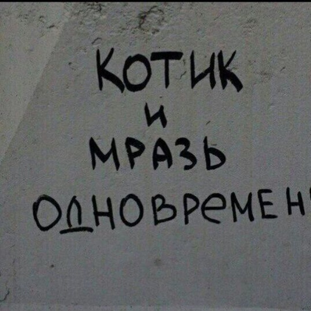 В каморке: У Кота...