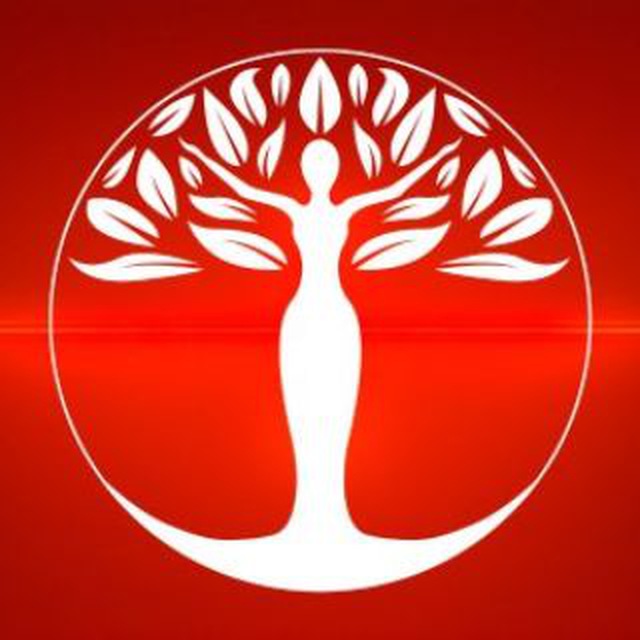 Дом Аяваски