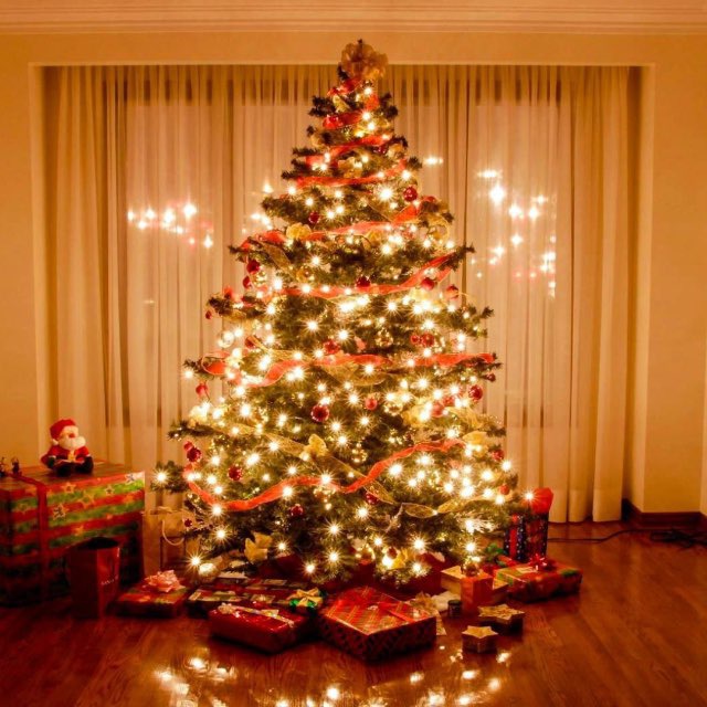 Кроссовки "Stadium Goods"