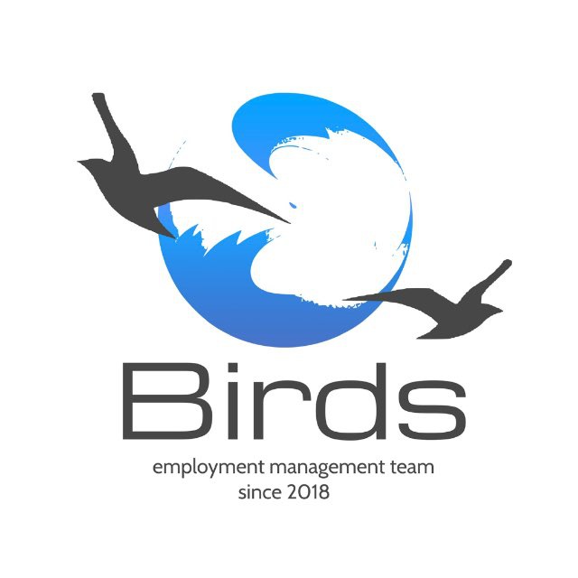 BIRDS - Работа за границей