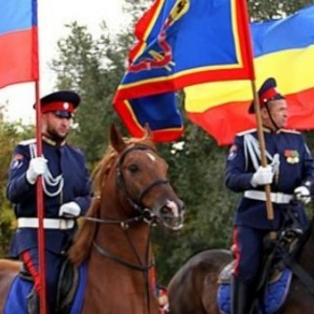 Подслушано Дон