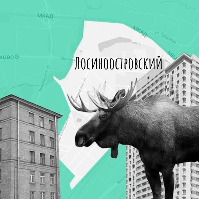 Лосиноостровский район /...