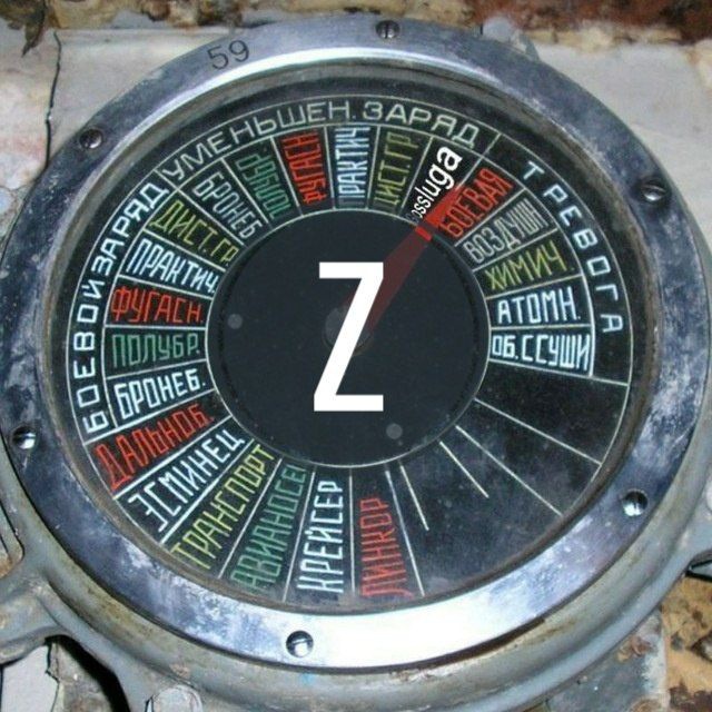 ГОССЛУГА ?? Z
