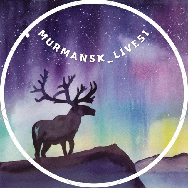 Murmansk_live51⚓️??