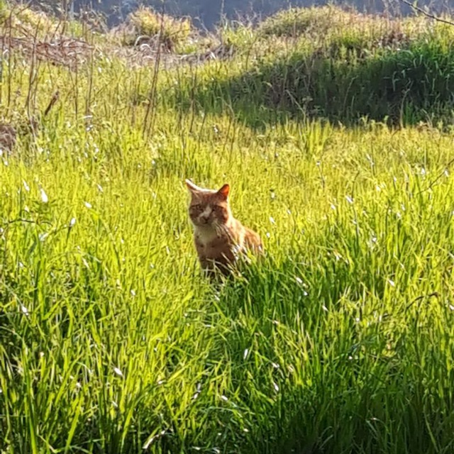 НЕЕВГЕНИЙ