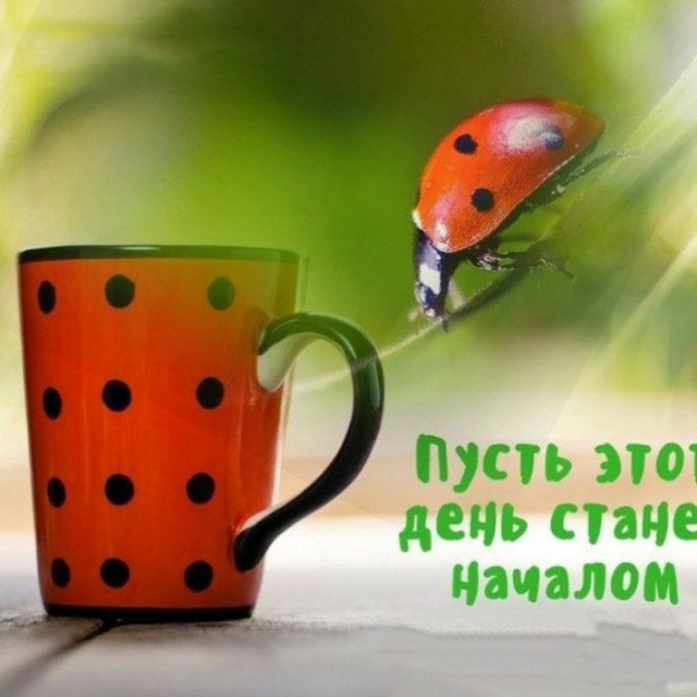 С Добрым утром! ?