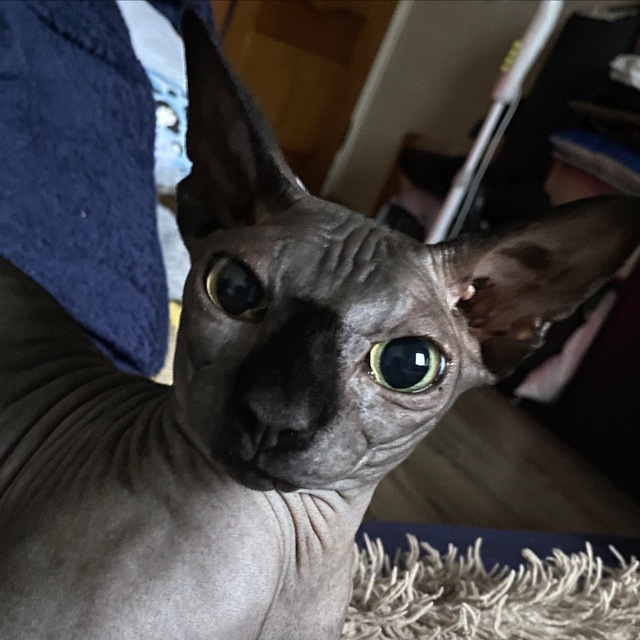 8 т80?you) м4the к0н...