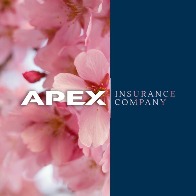 APEX INSURANCE