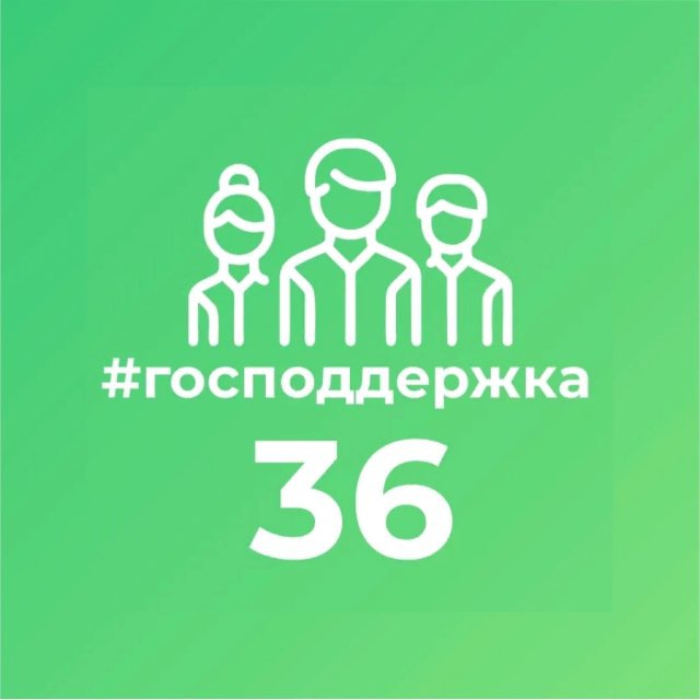 Господдержка36.рф