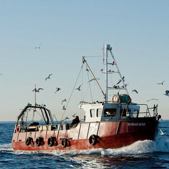 Териберка Морские прогулки и рыбалка на "Весёлом ветре" +79212718787