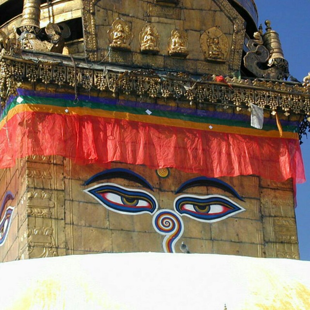 SEYA - Songs of freedom