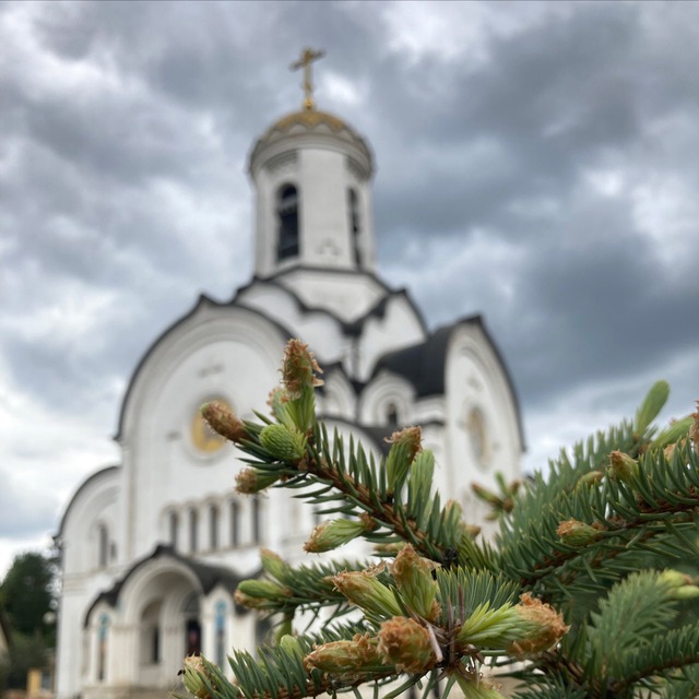 Елисаветинский храм г. Красногорск