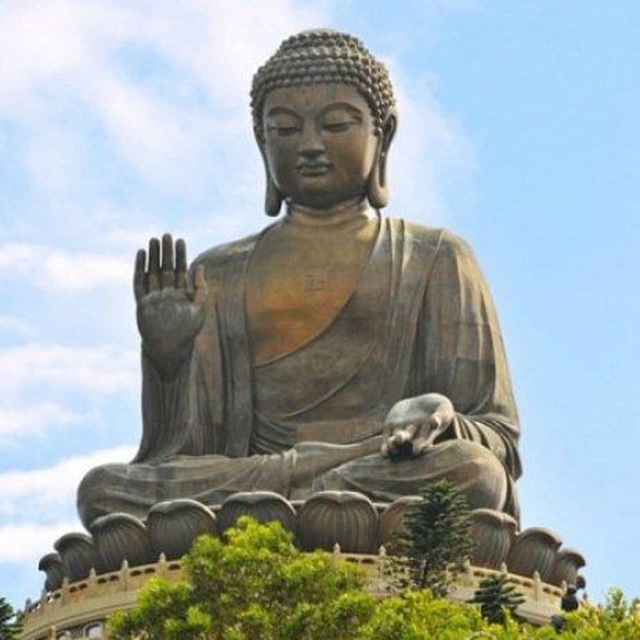 ? Vipassana Yatra ?‍♂️