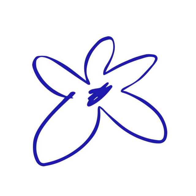 juno bakery & flowers