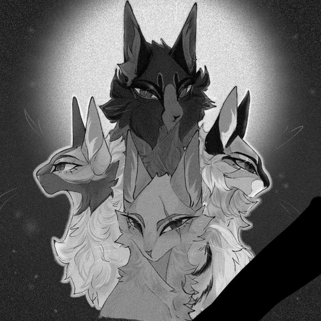 Коты-воители вики | Fandom