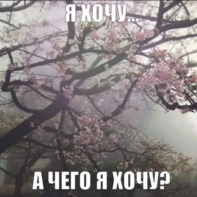 няпака