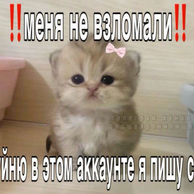 |ПЕРЕЕЗД|?Лес Деда Шишки?