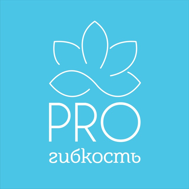 PRO Гибкость