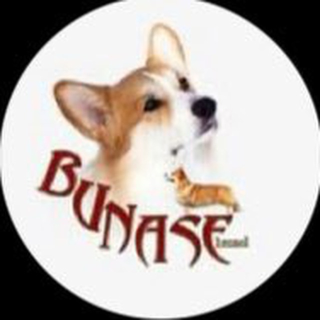 Питомник BUNASE?