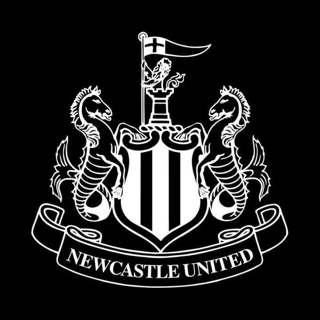 Newcastle Idiomas (newcastleidiomaspinterest) - Profile