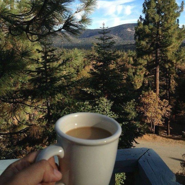 TOGETHER with DaRi ✨?