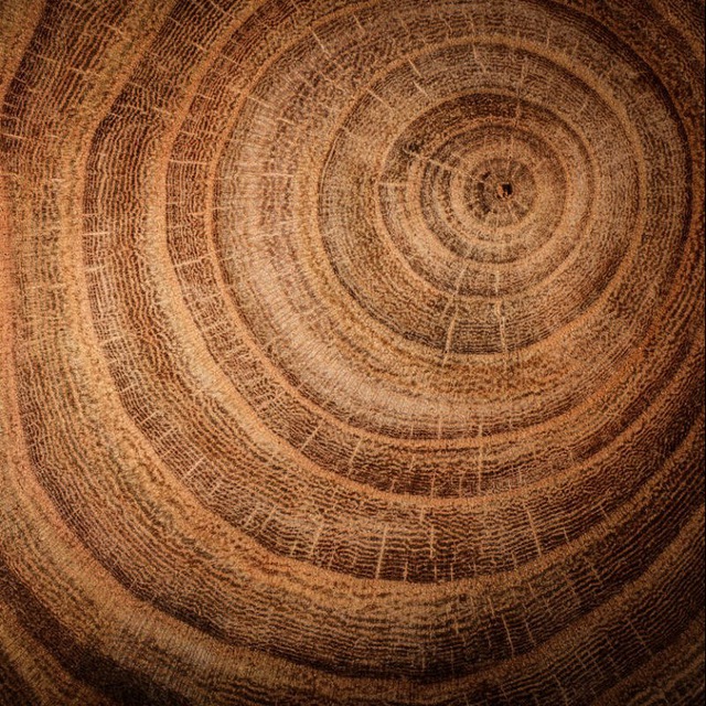 Жизнь как она есть