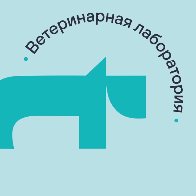 Vet Union для врачей