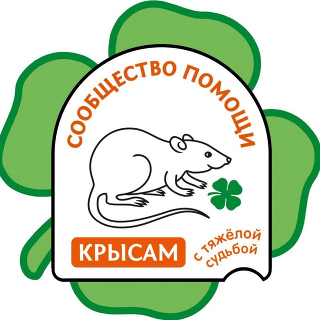 Сообщество помощи крысам с тяжелой судьбой
