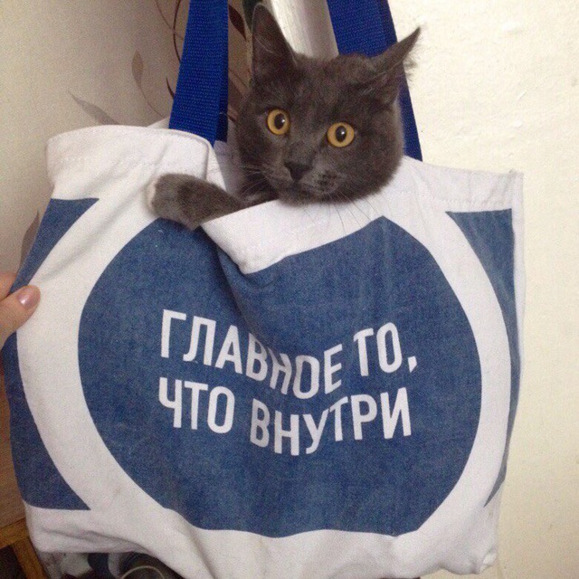 Записки тамбовского кондуктора