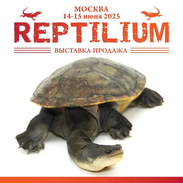Рептилиум Reptilium | змеи | ящерицы | лягушки | рыбки