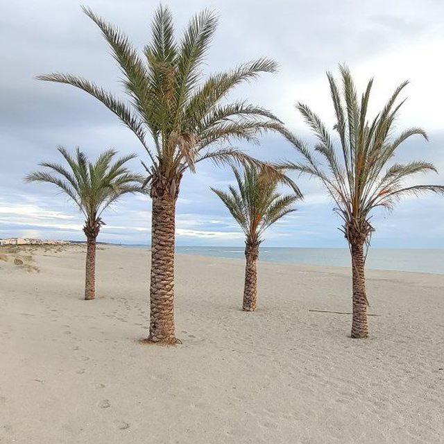 Путешествия и Жизнь