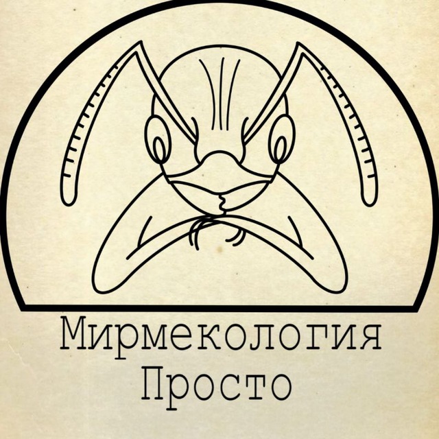 Мирмекология– Просто | Блог