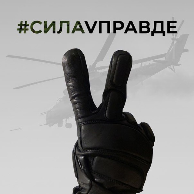 СилаVправде АК—85