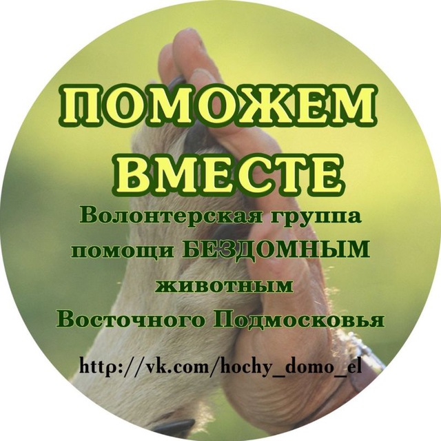 Поможем вместе