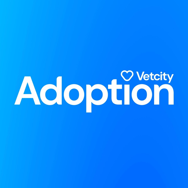Vetcity Adoption