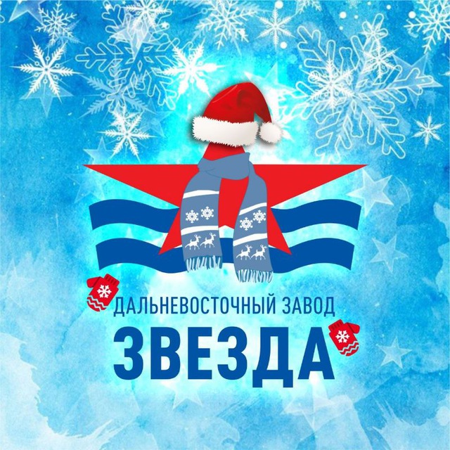 ДВЗ "ЗВЕЗДА"