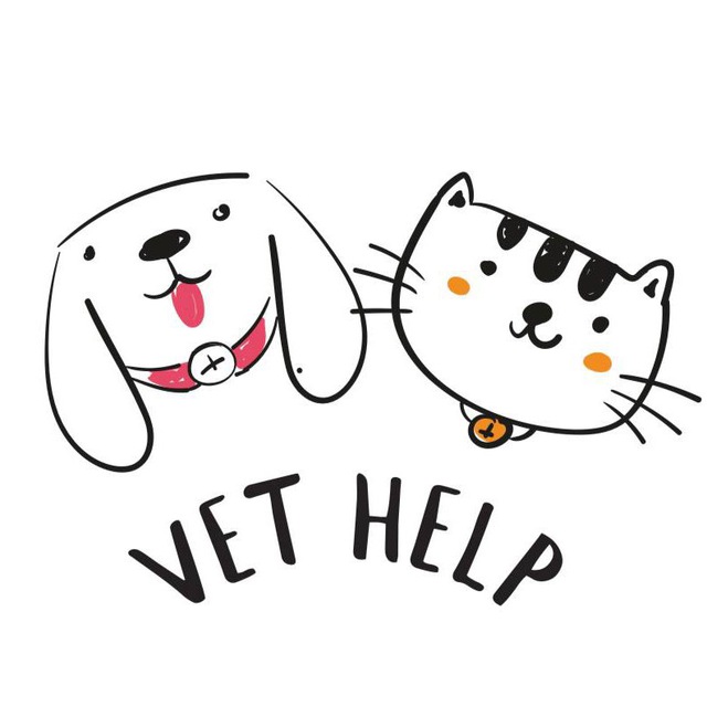 VET HELP