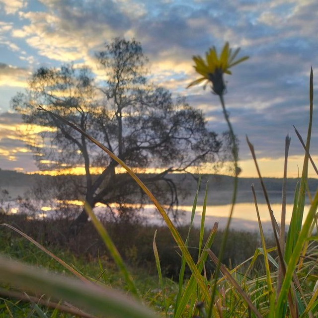 Влюбленные в жизнь. Литературный канал