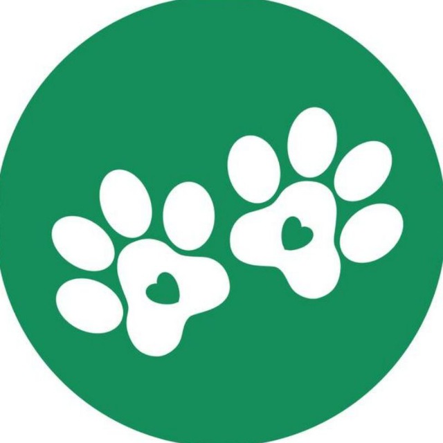 Зоомагазин Белые Лапки