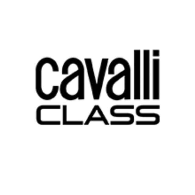 ?? Сумки из Италии CAVALLI CLASS