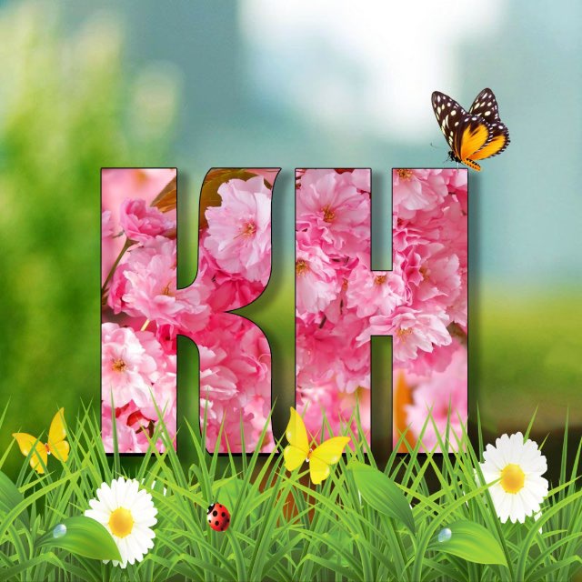 Каменские новости