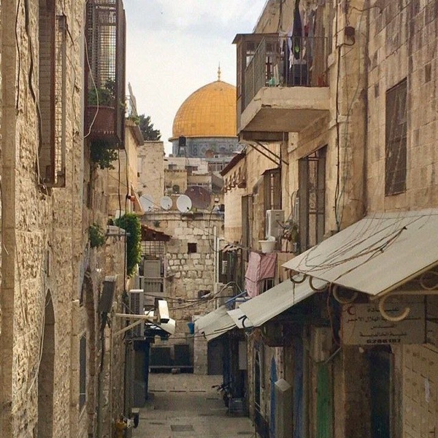 arabic • мудрости