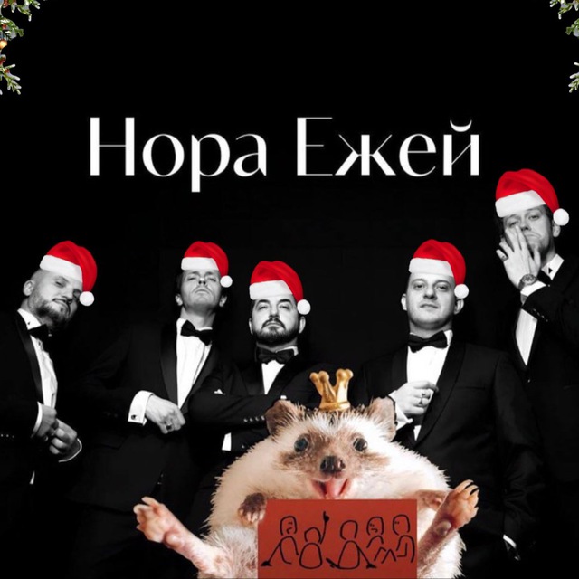 Нора ежей ?