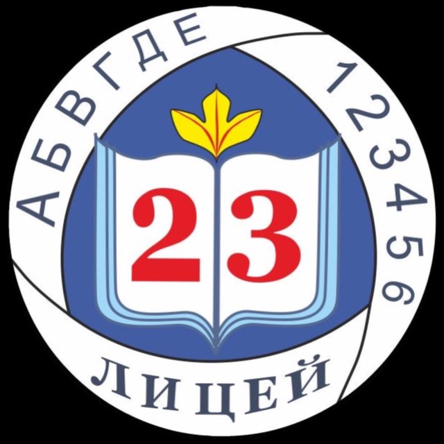 МОУ «Лицей №23»