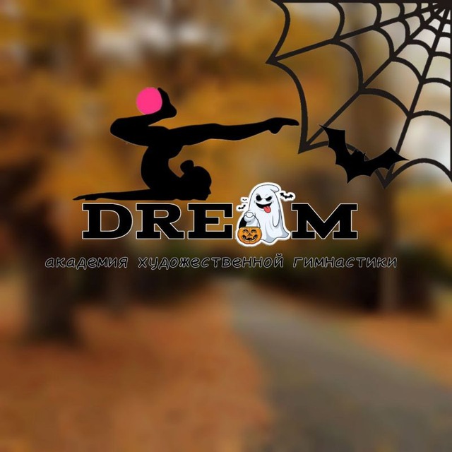 Академия художественной гимнастики "Dream"
