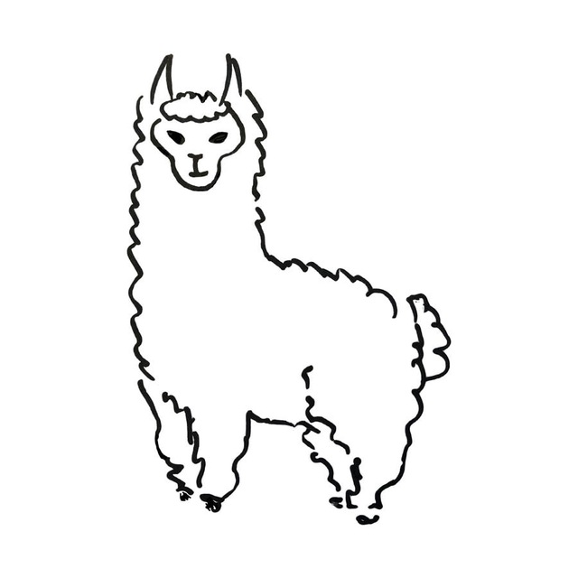 Издательство Alpaca