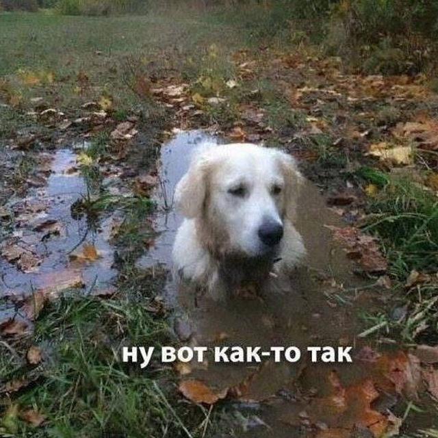 Исповедь девопса